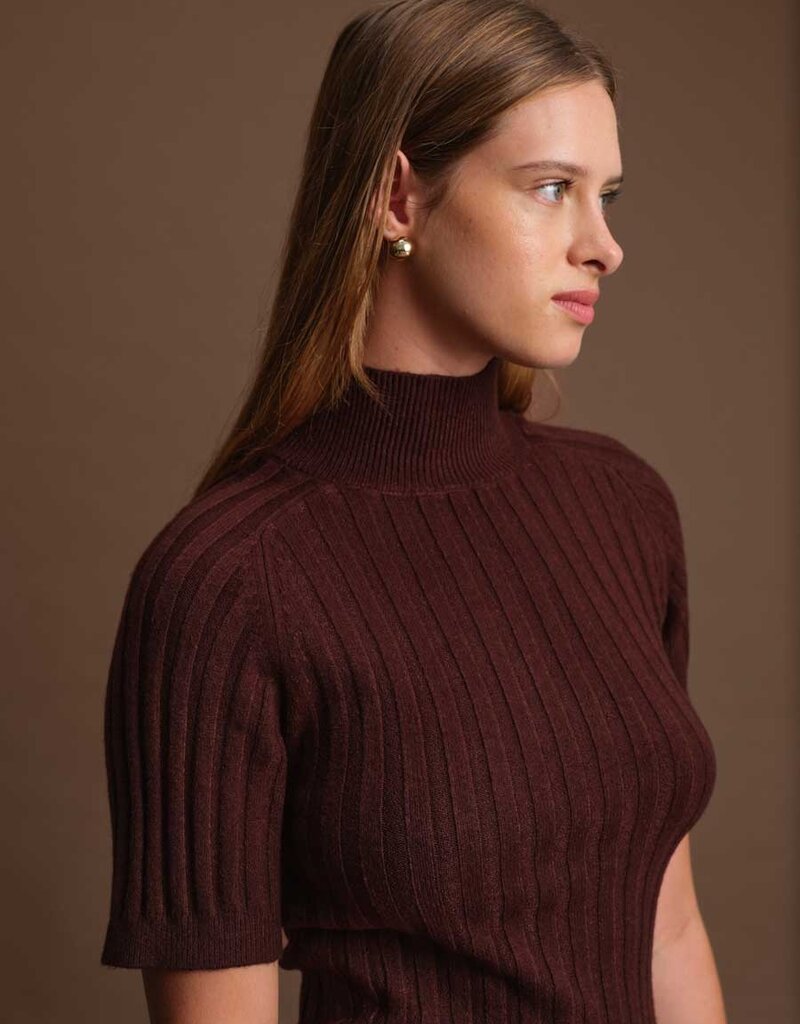 DELUC OLIVER TURTLENECK KNIT TOP