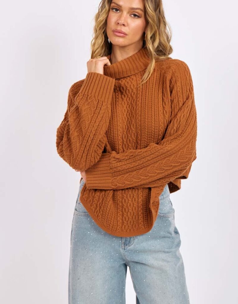 SAGE THE LABEL FABLE CABLE KNIT TURTLENECK
