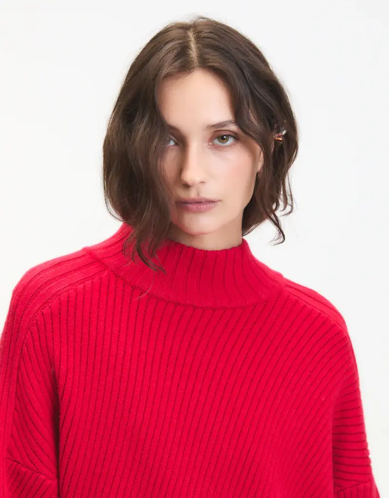 DELUC NELSON TURTLENECK