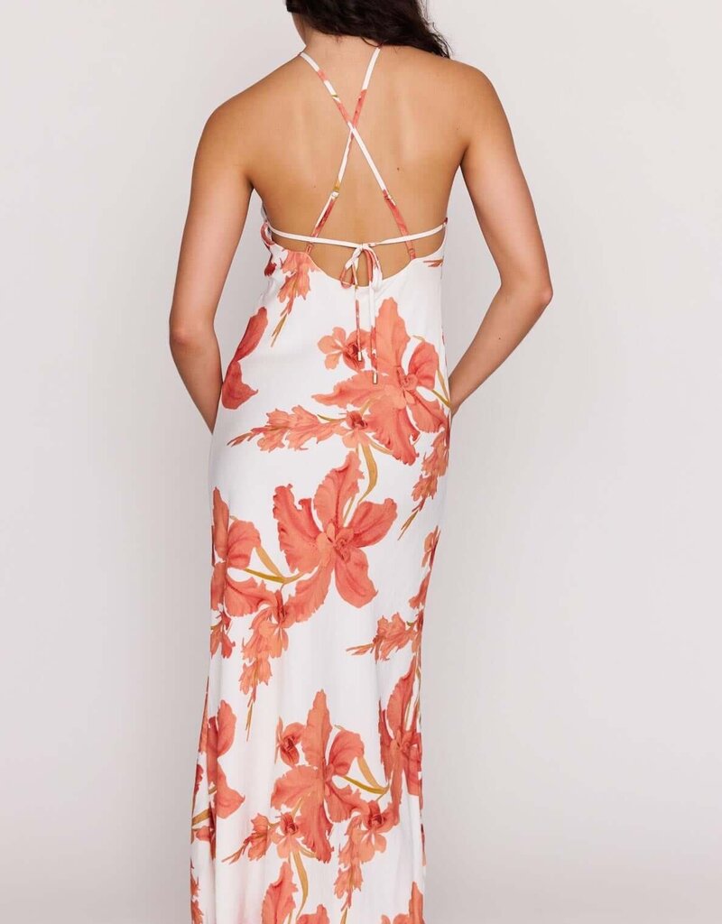MINKPINK ISLA HALTER MAXI DRESS
