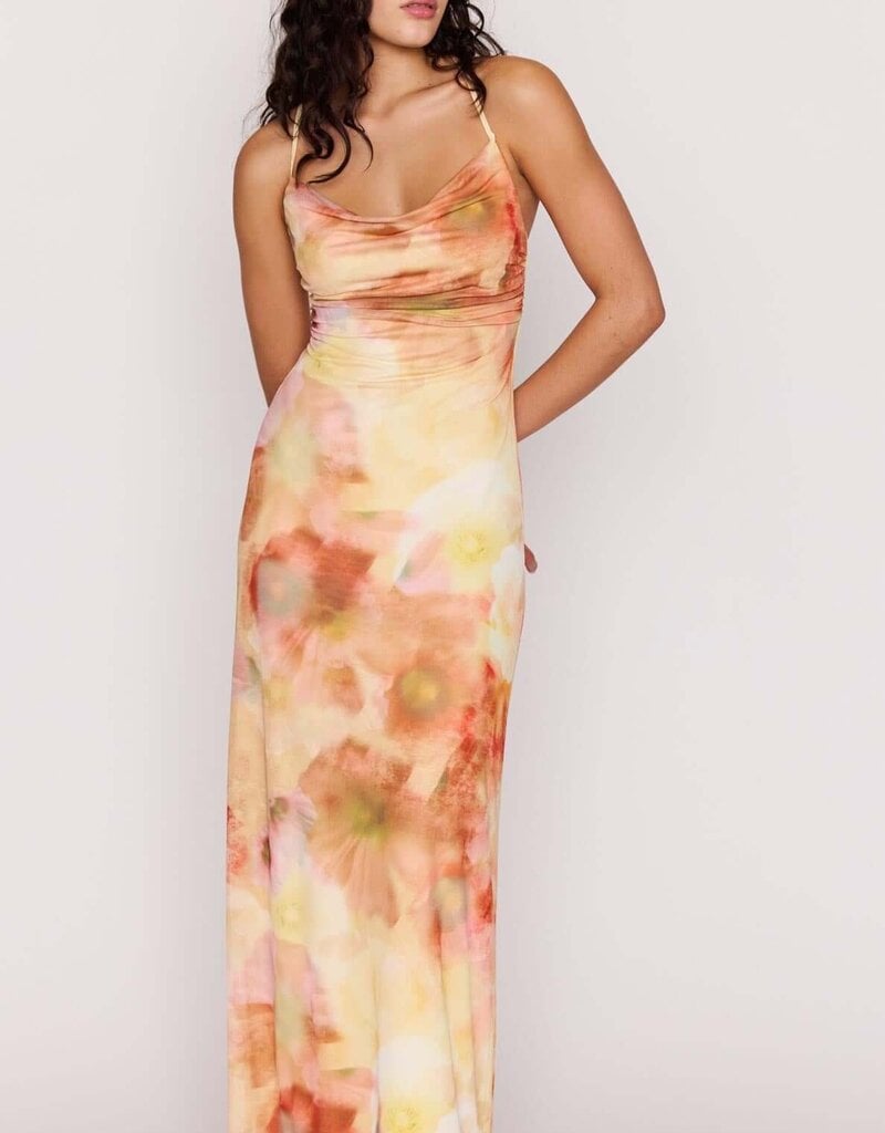 MINKPINK ARIA MESH MAXI DRESS