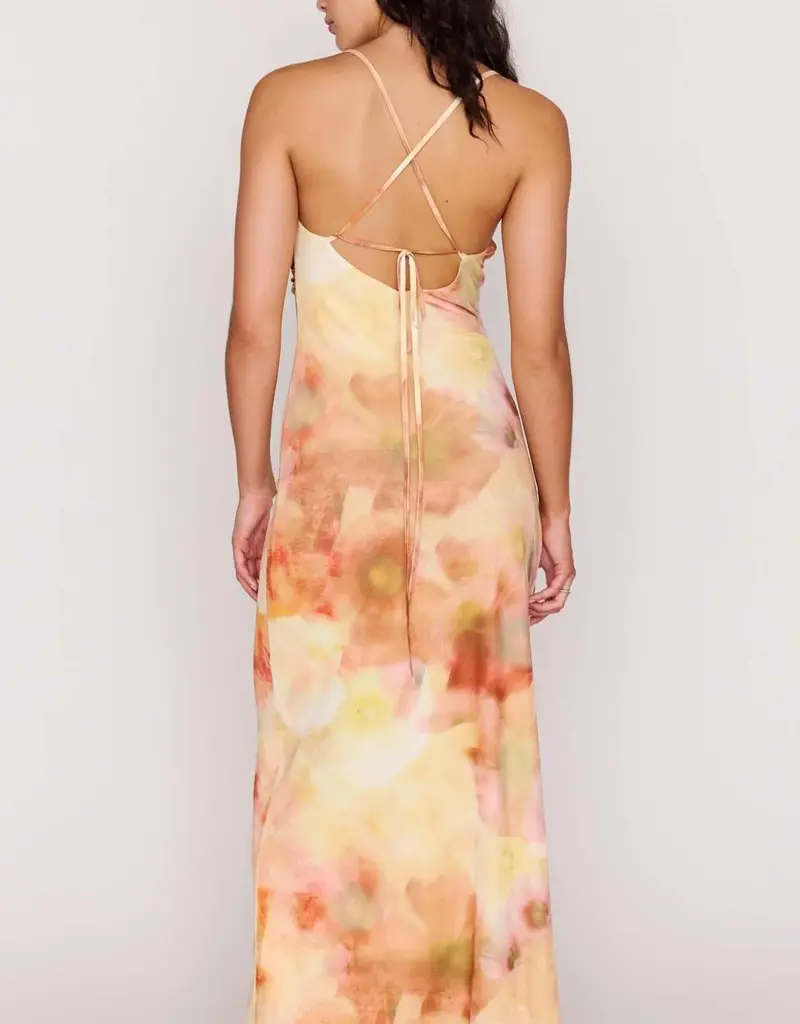 MINKPINK ARIA MESH MAXI DRESS