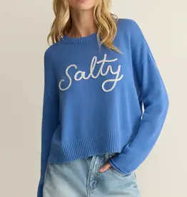 ZSUPPLY SIENNA SALTY SWEATER