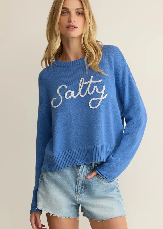 ZSUPPLY SIENNA SALTY SWEATER