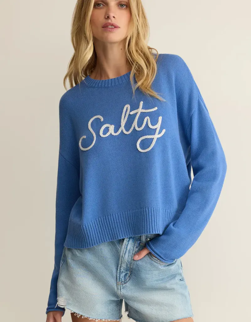 ZSUPPLY SIENNA SALTY SWEATER