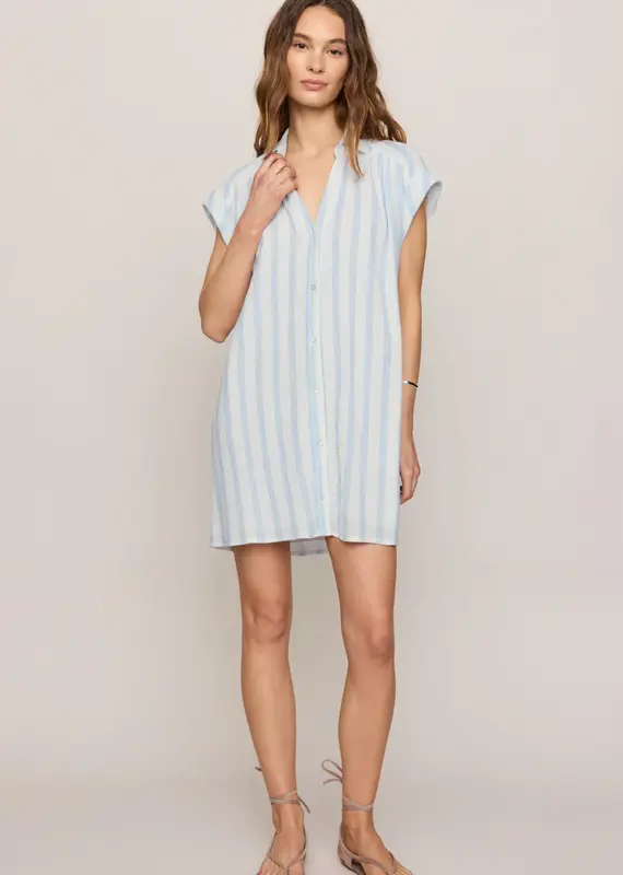 ZSUPPLY SHELLBOUND STRIPED DRESS