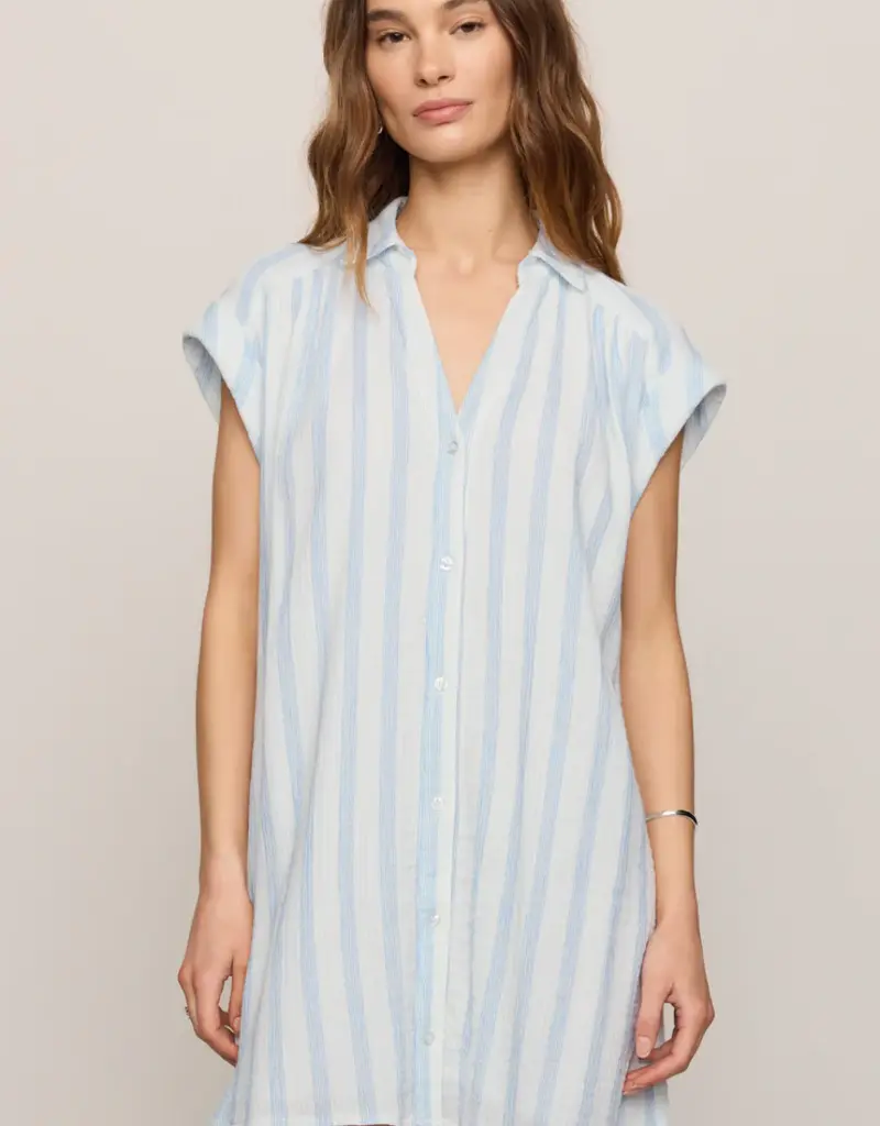 ZSUPPLY SHELLBOUND STRIPED DRESS