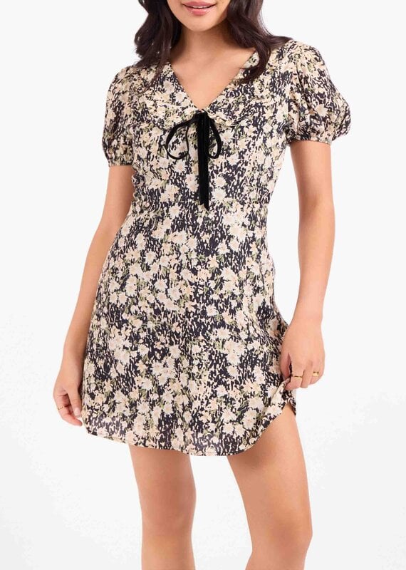 SADIE & SAGE PAINTED FIELDS MINI DRESS