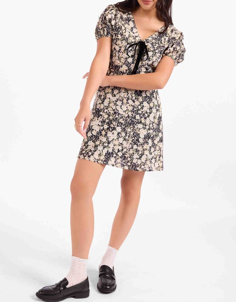SADIE & SAGE PAINTED FIELDS MINI DRESS