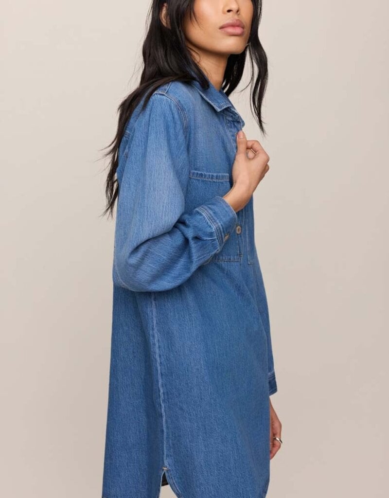 ZSUPPLY LUCIE DENIM SHIRT DRESS