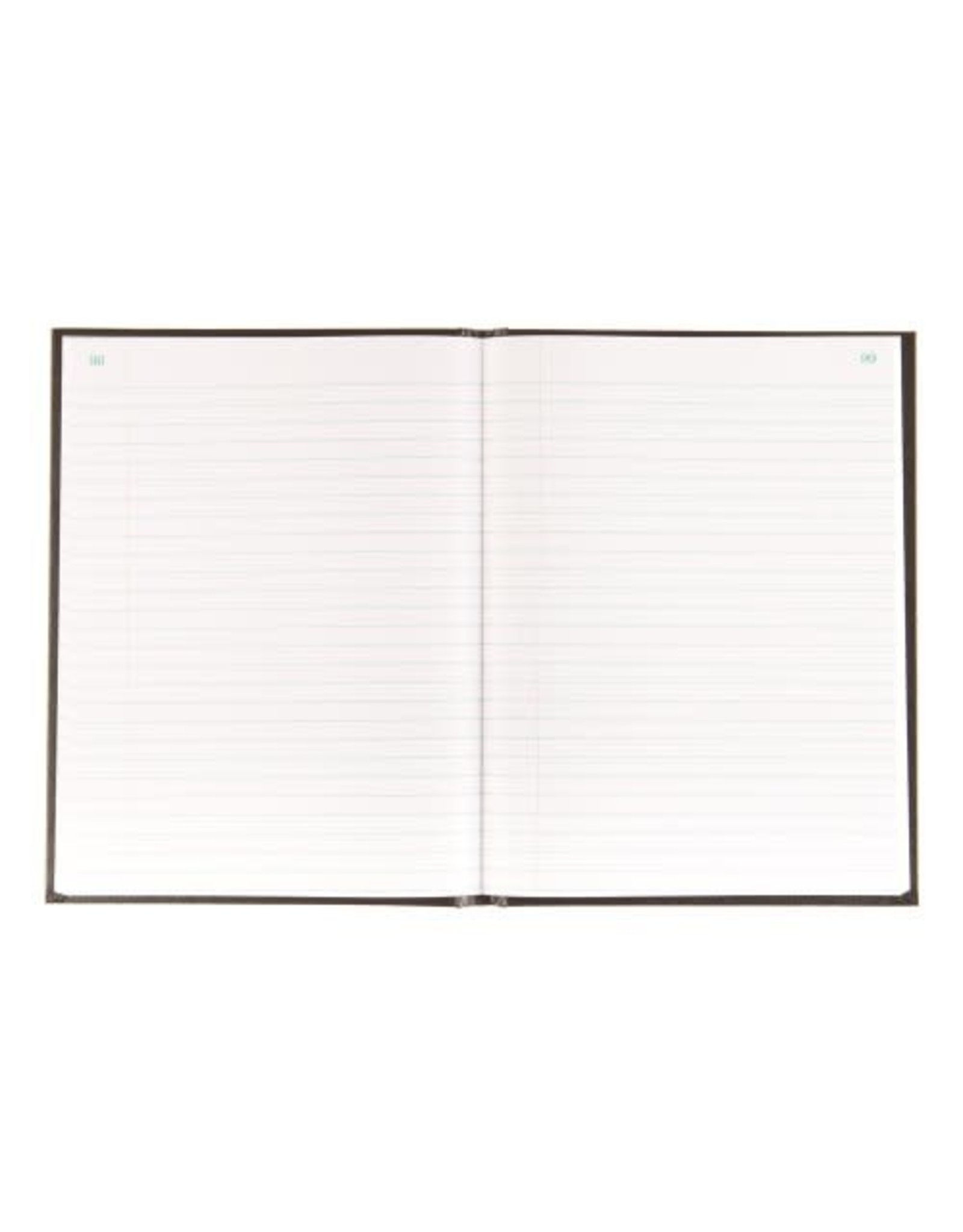 Blueline ACCOUNT BOOK-HARD, 200 PAGE WHITE 10.25X7-11/16 RECORD