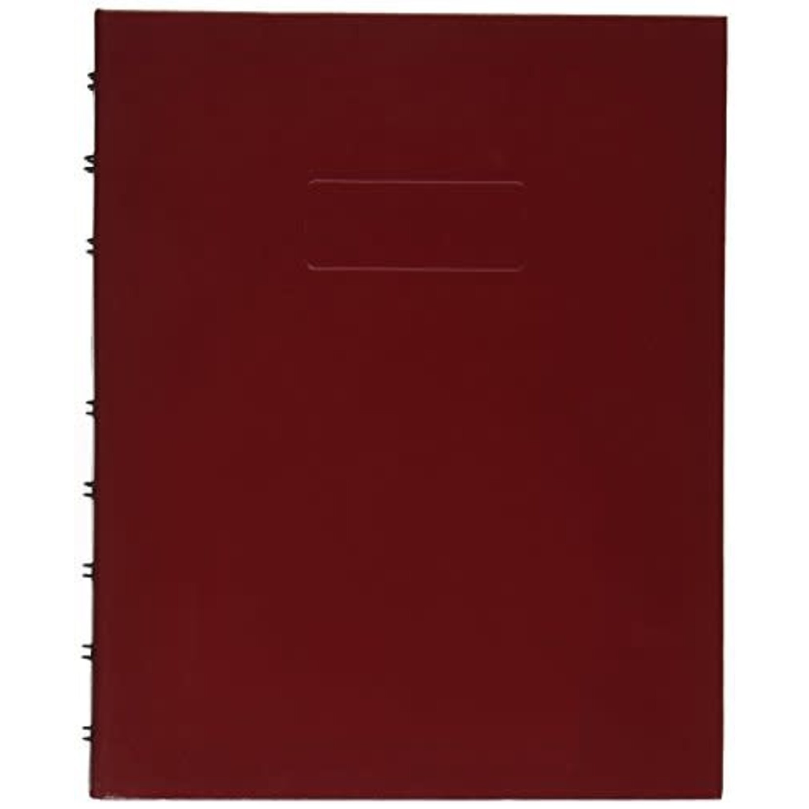 Blueline NOTEBOOK-NOTEPRO, 192 PAGE TWIN-WIRE 9.25X7.25 RED