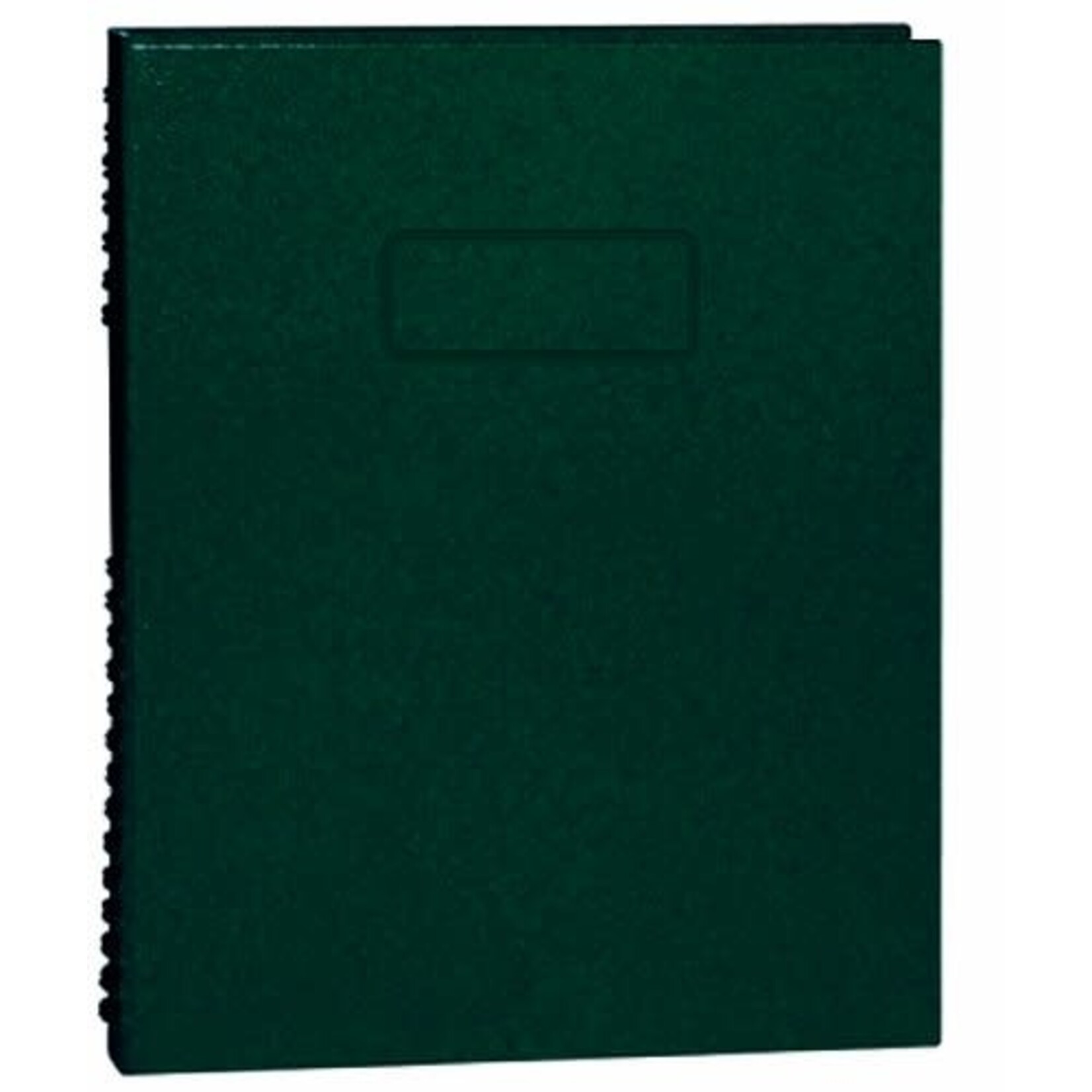 Blueline NOTEBOOK-NOTEPRO, 192 PAGE TWIN-WIRE 9.25X7.25 GREEN