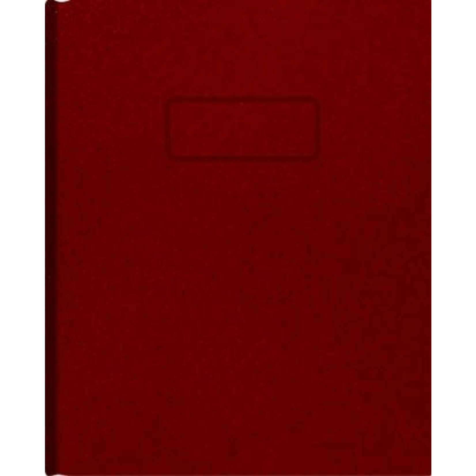 Blueline NOTEBOOK-NOTEPRO, 192 PAGE 9.25X7.25 RED