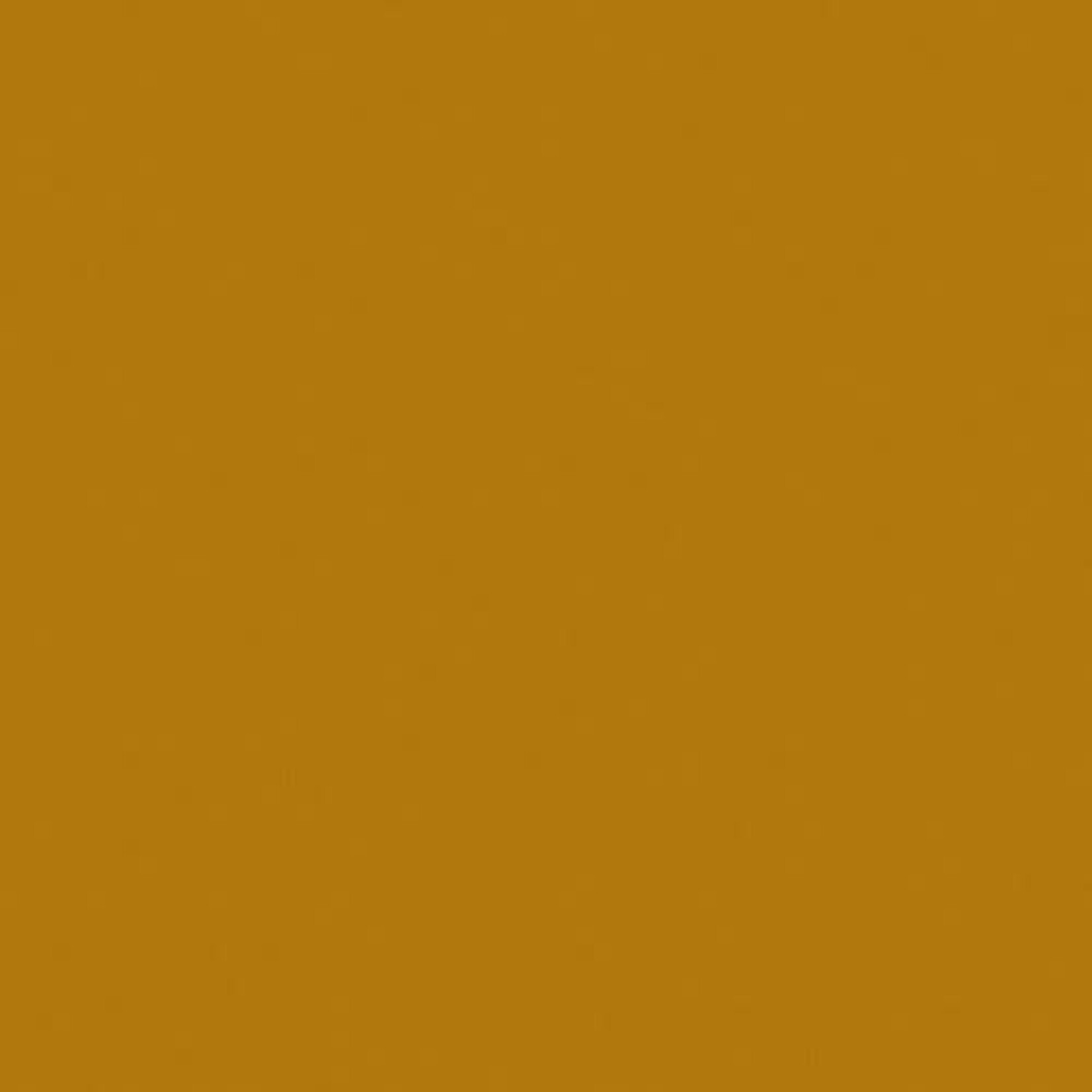 Liquitex PAINT-ACRYLIC LIQUITEX BASICS 250 ML RAW SIENNA