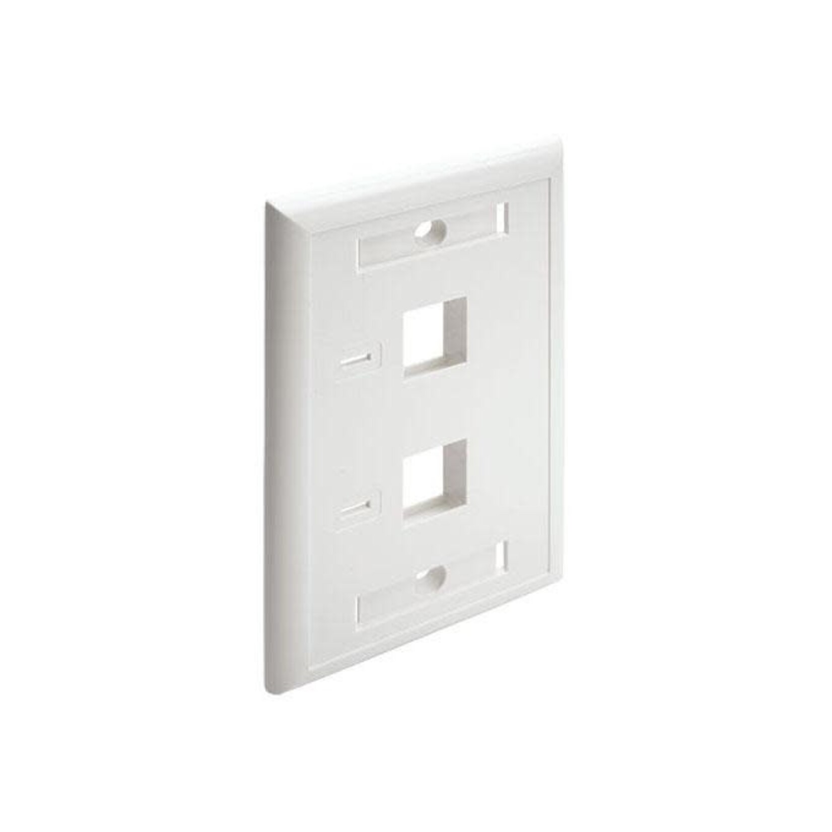 Tripp Lite Tripp Lite 2 Port Dual Outlet RJ45 Universal Keystone Face Plate/Wall Plate, White
