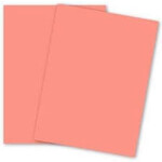 Domtar Paper - EarthChoice Letter 20LB Salmon