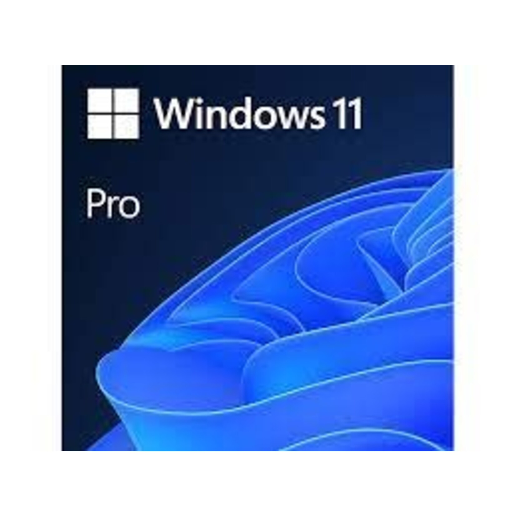 Microsoft Microsoft Windows 11 Pro OEM 64Bit English DVD-Rom