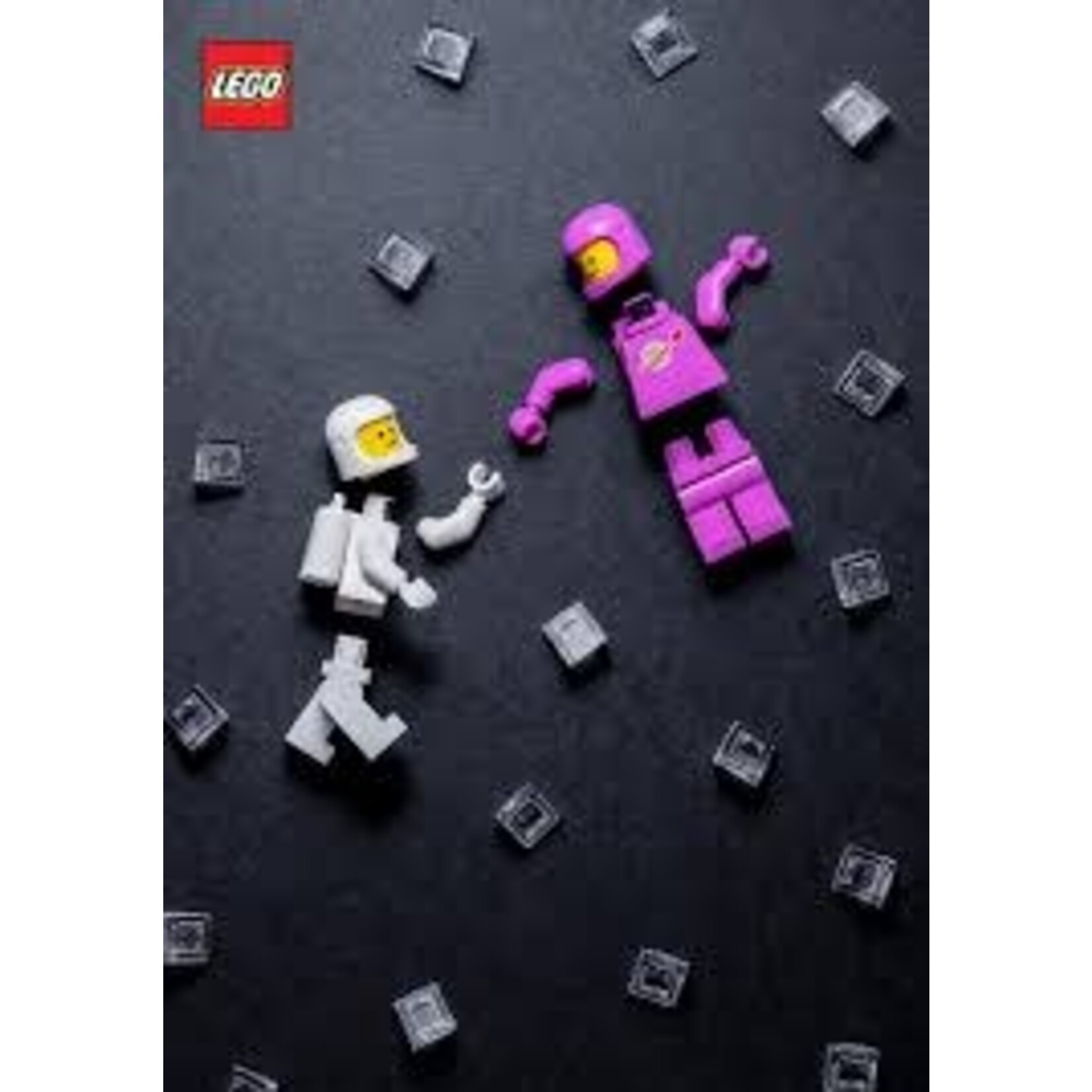 LEGO 8199-8 Minifigure Journal