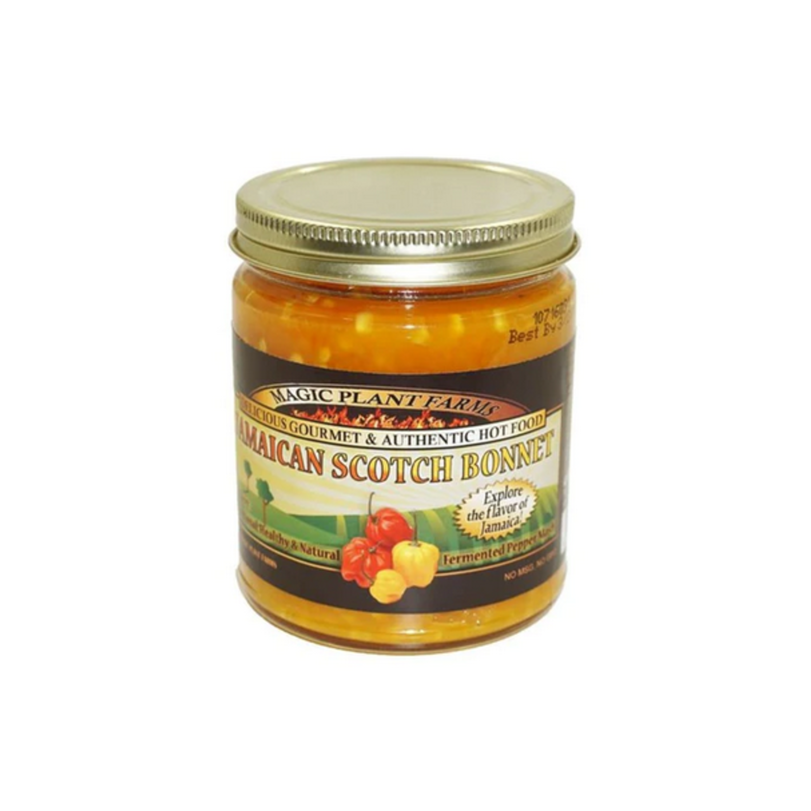 Magic Plant, Jamaican Yellow Scotch Bonnet Pepper Mash