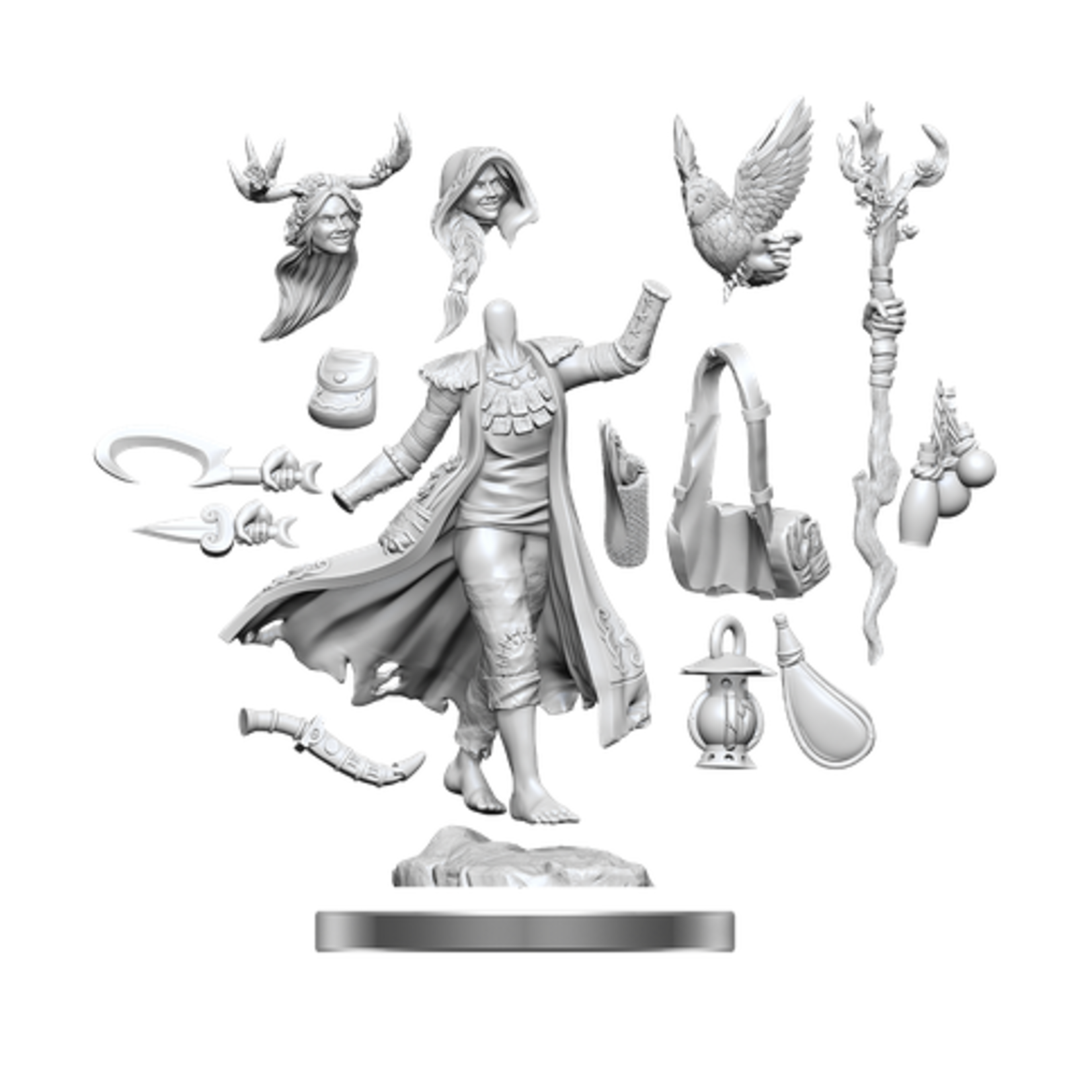 DND FRAMEWORKS WV1 HUMAN DRUID FEMALE