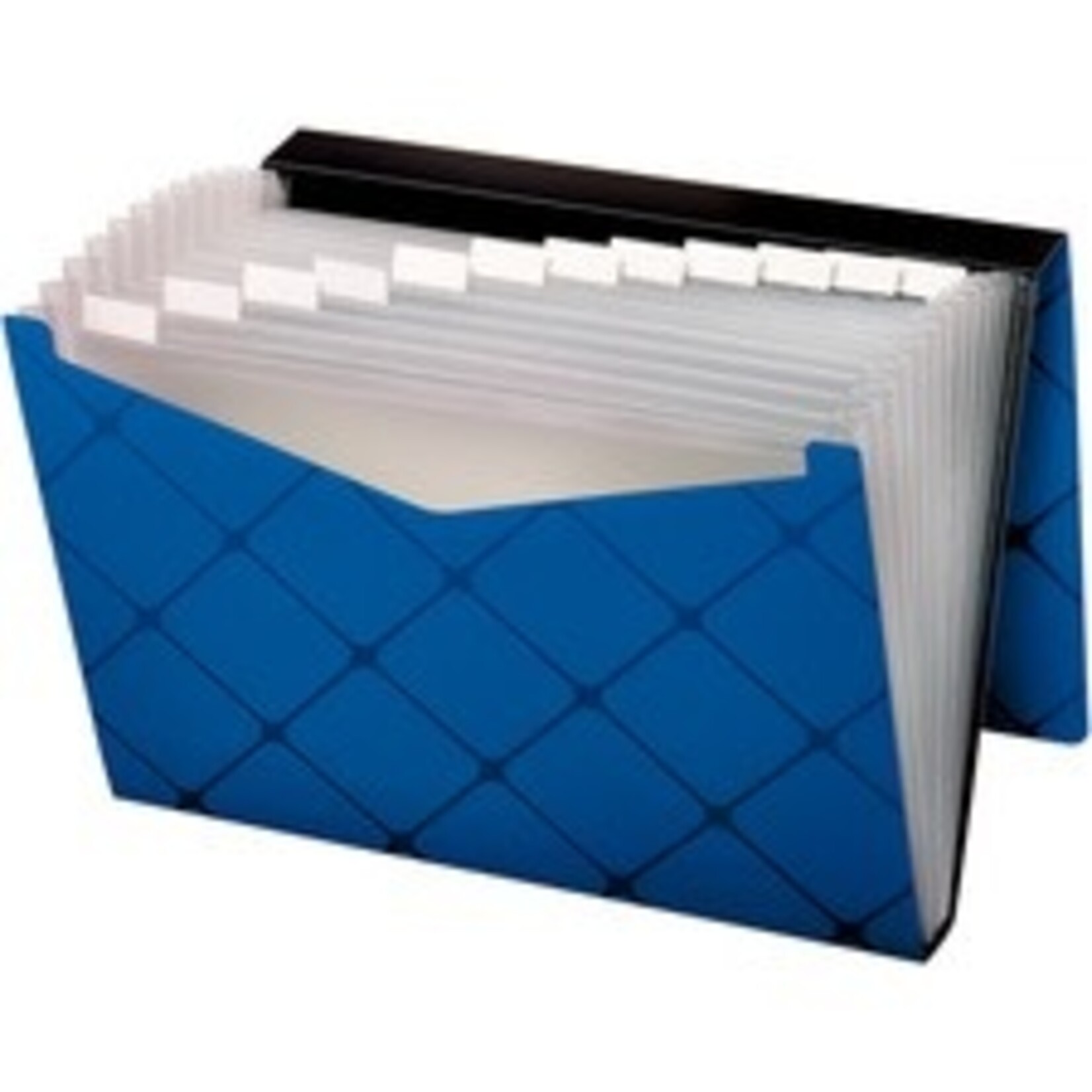Pendaflex FILE-EXPANDING, 13 POCKET POLY, PENDAFLEX, LETTER
