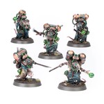 SKAVEN: ACOLYTE GLOBADIERS