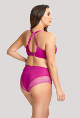 Panache PN Roxie UW Plunge