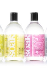 Soak Soak Wash Full Size 12 oz