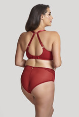 Panache PN Arianna Brief