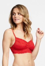 Montelle MO Wire Free Lace Bralette