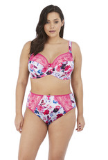 Elomi EL Morgan Pink Floral Bra