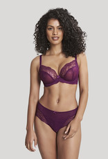 Panache PN Ana Brief