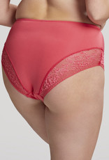 Panache PN Roxie Brief