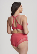 Panache PN Roxie Brief