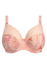 Elomi EL Lucie 2025 Elomi EL Lucie 2025