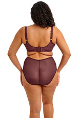 Elomi EL Matilda Fashion Plunge Bra