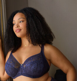 Panache PN Dream