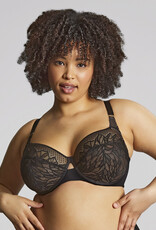 Panache PN Sophia Bra Panache PN Sophia Bra