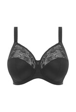 Elomi EL Morgan Solid Bra