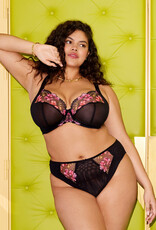 Elomi EL Teagan Plunge 2026