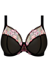 Elomi EL Teagan Plunge 2026