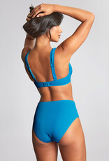Panache PN Aurora Bikini Top