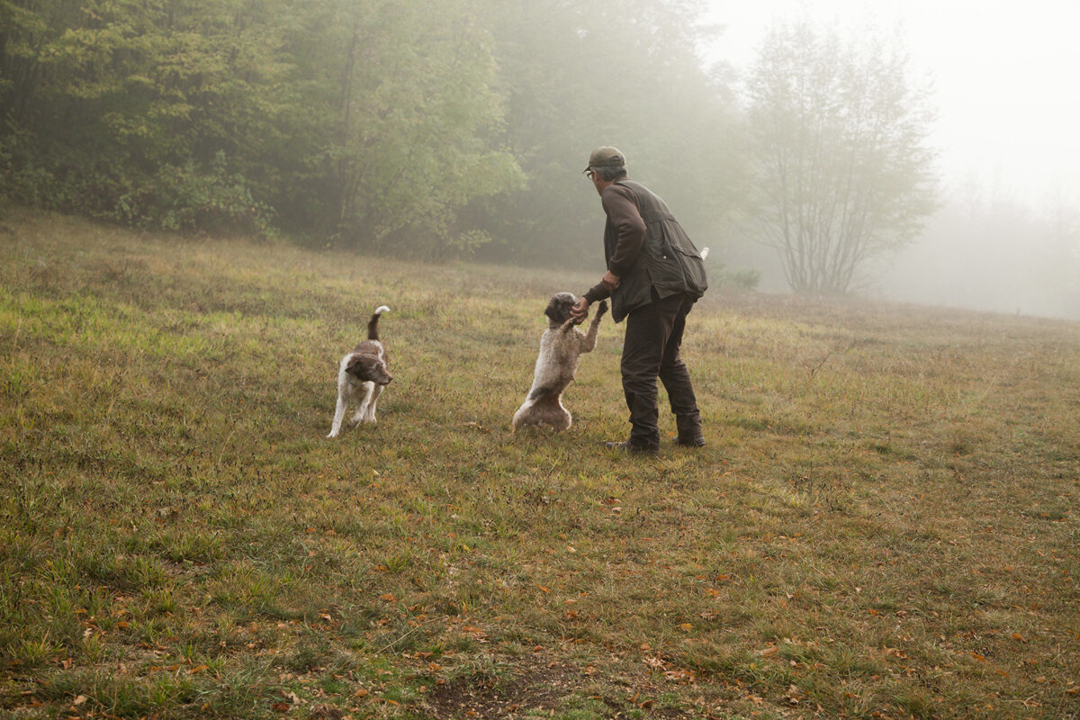 San Pietro a Pettine "San Pietro a Pettine" White Truffle Extra Virgin Olive Oil 24/55ml