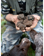 San Pietro a Pettine "San Pietro a Pettine" Porcini Mushrooms and Summer Black Truffle Sauce 12/180g