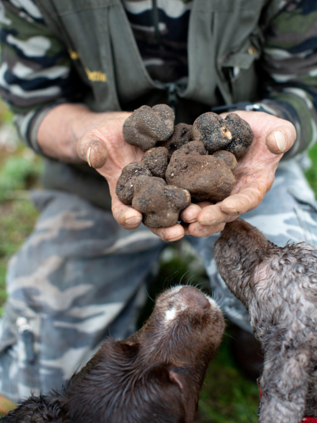 San Pietro a Pettine "San Pietro a Pettine" Porcini Mushrooms and Summer Black Truffle Sauce 12/180g^^