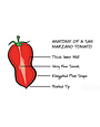 Agrigenus Peeled San Marzano tomatoes D.O.P. 2550g