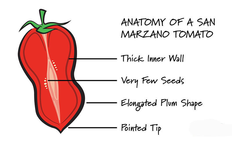 Agrigenus Tomates Pelées San Marzano D.O.P. 2550g