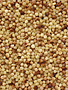 Casa Del Grano "Casa del Grano" Fregola Pasta Medium 12/500g