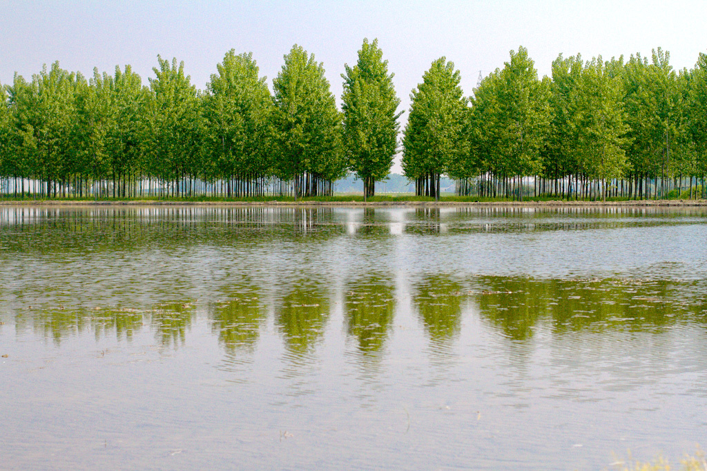 Gli Aironi Riz Arborio 1kg